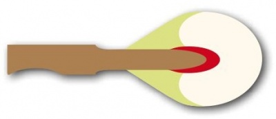 Модель С3.5, CRS, орех, 26 басов, 80/72, 53/45, ширина 11/11 мм, красный унтерфильц