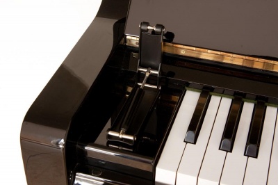 Тормоз-доводчик клапа для пианино, приклеивающийся, чёрный/латунь